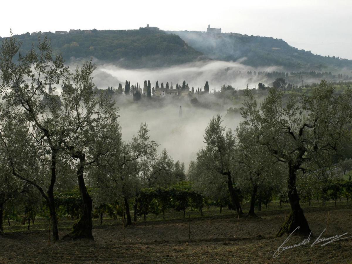 Holiday Home Podere Santa Lucia By Interhome Volterra Extérieur photo